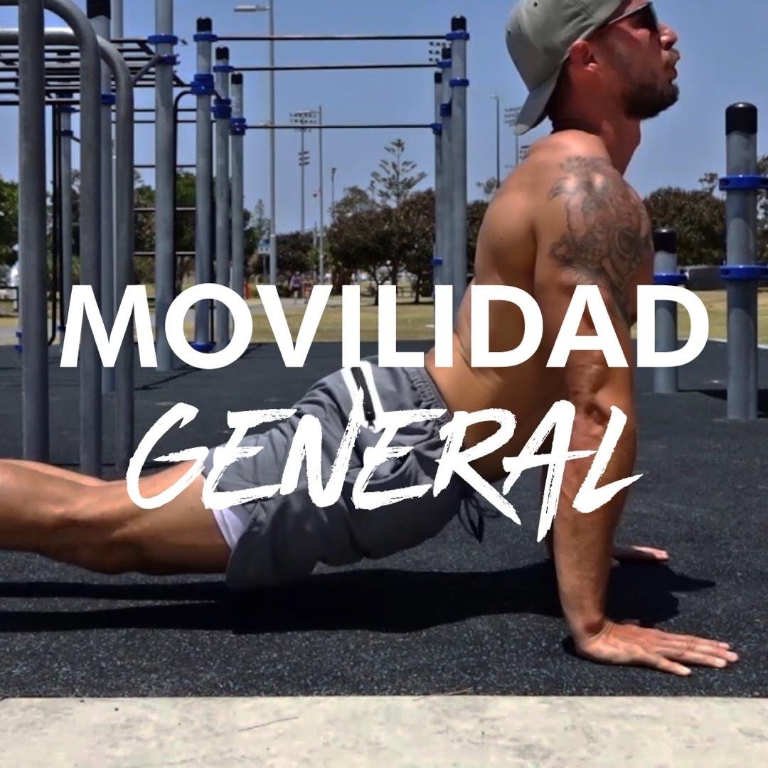Movilidad General